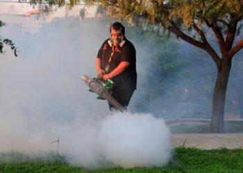 Guadalupe refuerza acciones de prevención contra el dengue