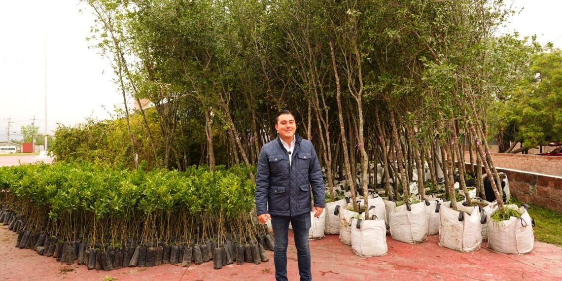 García impulsa reforestación con 10 mil árboles adicionales del programa “Adopta Vida”