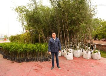 García impulsa reforestación con 10 mil árboles adicionales del programa “Adopta Vida”