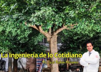 Árboles sintéticos: cuando la ciudad intenta imitar a la naturaleza