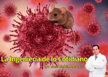 Hantavirus: la ingeniería invisible que contiene un brote