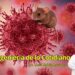 Hantavirus: la ingeniería invisible que contiene un brote