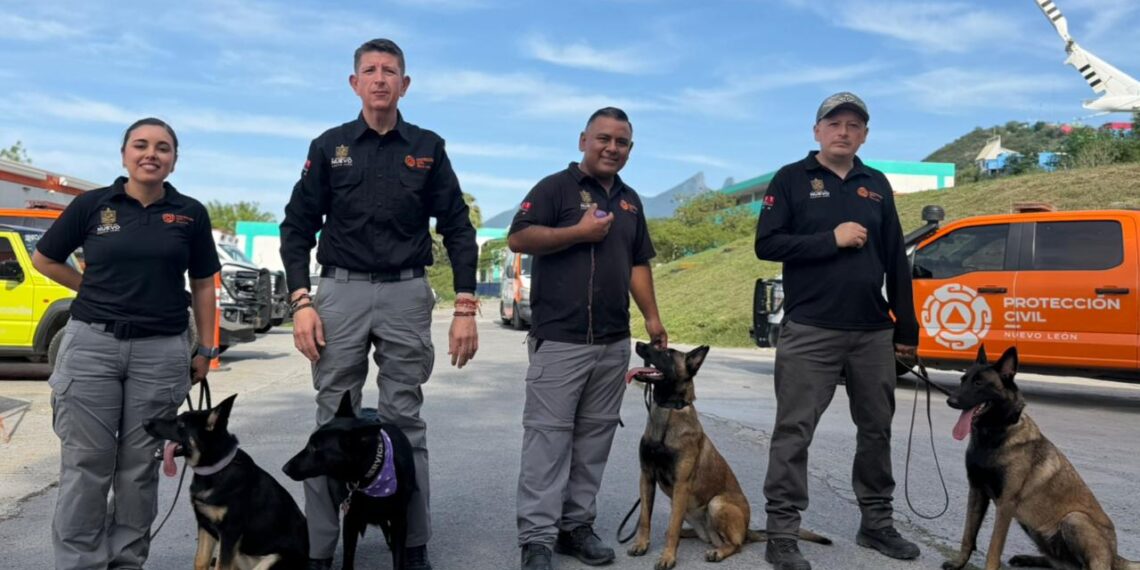 Integran nuevos elementos caninos a la Manada K9 de Protección Civil Nuevo León