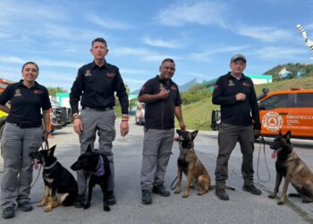 Integran nuevos elementos caninos a la Manada K9 de Protección Civil Nuevo León