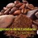 Del cacao mexicano al chocolate suizo: cuando la tradición se vuelve ingeniería