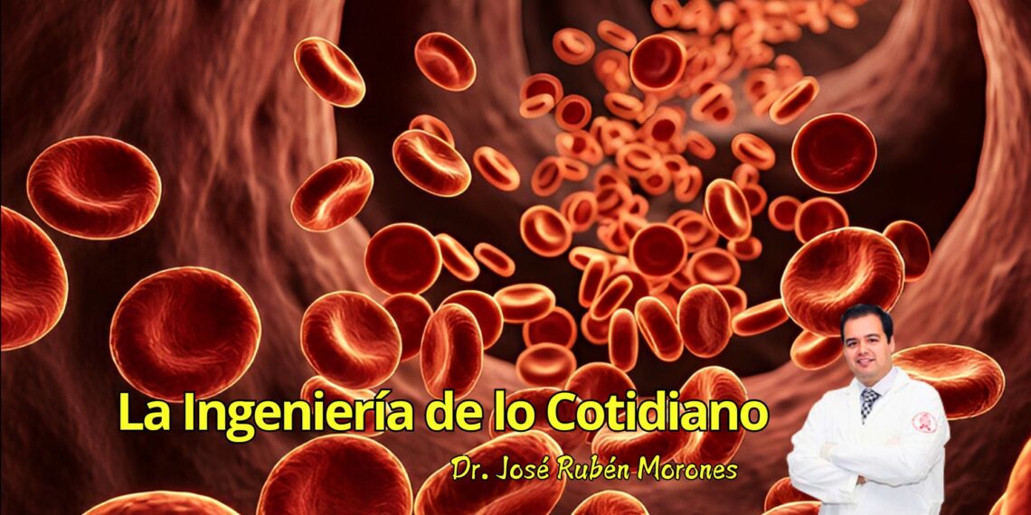 Sangre sintética: el desafío de copiar el río que nos mantiene vivos