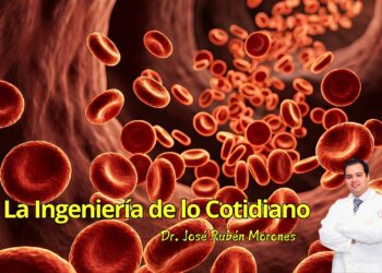 Sangre sintética: el desafío de copiar el río que nos mantiene vivos
