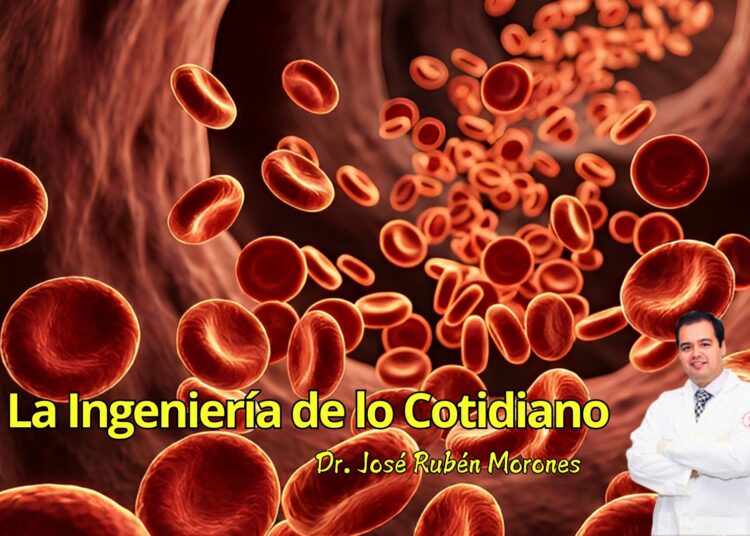 Sangre sintética: el desafío de copiar el río que nos mantiene vivos