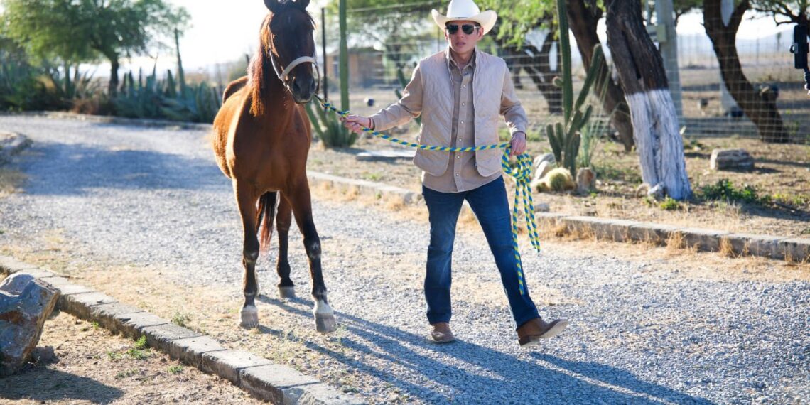 Mike Flores impulsa santuario para caballos rescatados en Nuevo León