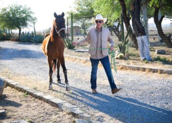 Mike Flores impulsa santuario para caballos rescatados en Nuevo León