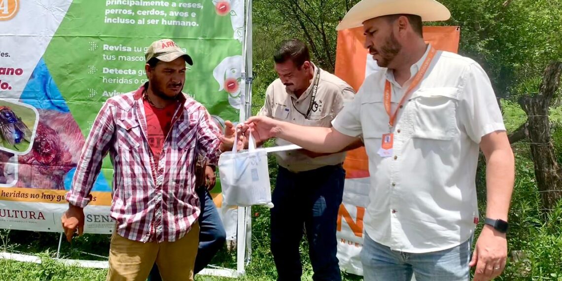Nuevo León refuerza combate al gusano barrenador en Aramberri