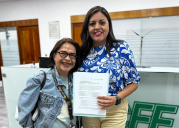 Itzel Castillo lleva a Federación reclamo por apagones en Nuevo León