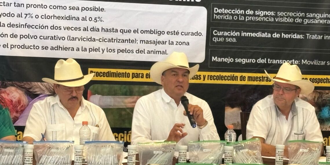 Ganaderos de Nuevo León piden reforzar medidas contra el gusano barrenador