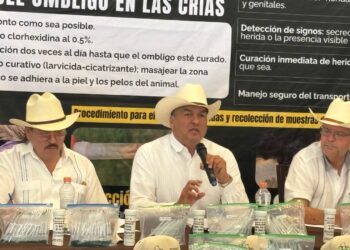 Ganaderos de Nuevo León piden reforzar medidas contra el gusano barrenador