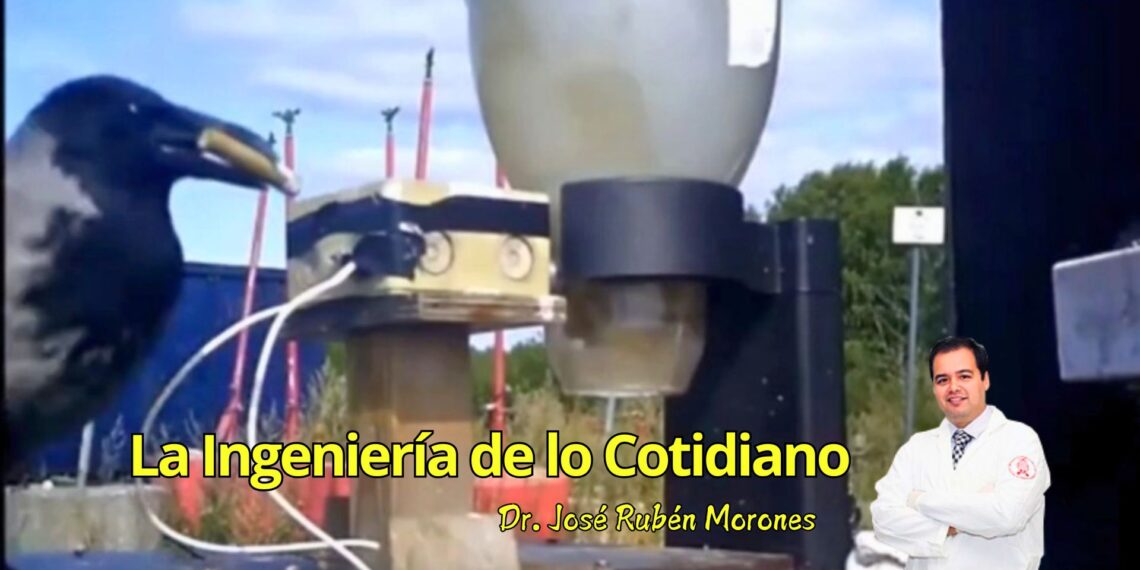 Cuervos, colillas y la ingeniería de los incentivos