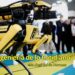 Robots de rescate: cuando la naturaleza inspira máquinas para salvar vidas