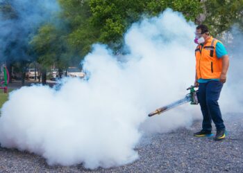 Guadalupe mantiene cero casos de dengue; refuerzan fumigación en colonias