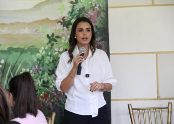 Lorena de la Garza impulsa comisión para infraestructura eléctrica