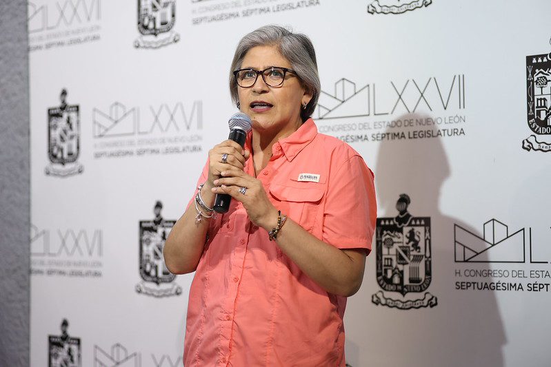 Sandra Pámanes acusa a alcaldes de usar recursos como argumento para justificar falta de resultados