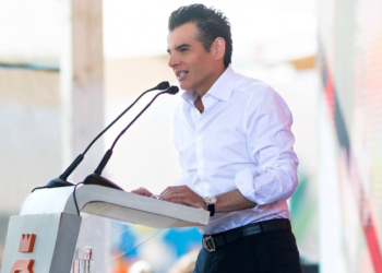 Miguel Flores llama a proteger la fauna silvestre tras rescate de osa negra