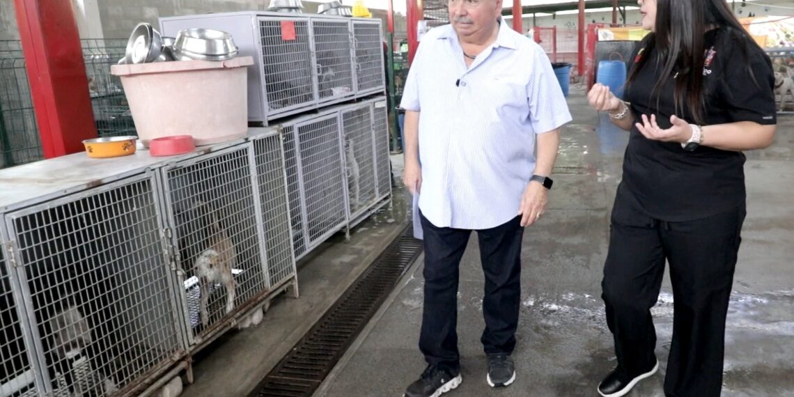 Escobedo fomenta la adopción responsable de mascotas